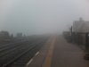 Fog 7.jpg