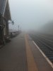 Fog 8.jpg