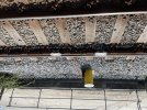 IMG_4233.jpeg
