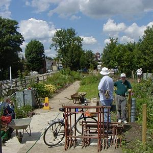 2007, Jluy, Garden after clearance and planting, with new access path