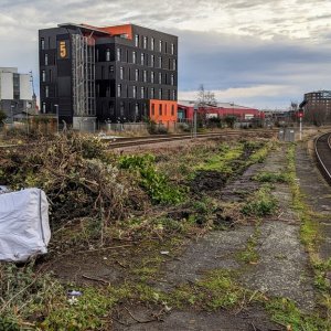 Middlesbrough overgrown platform 2.jpg
